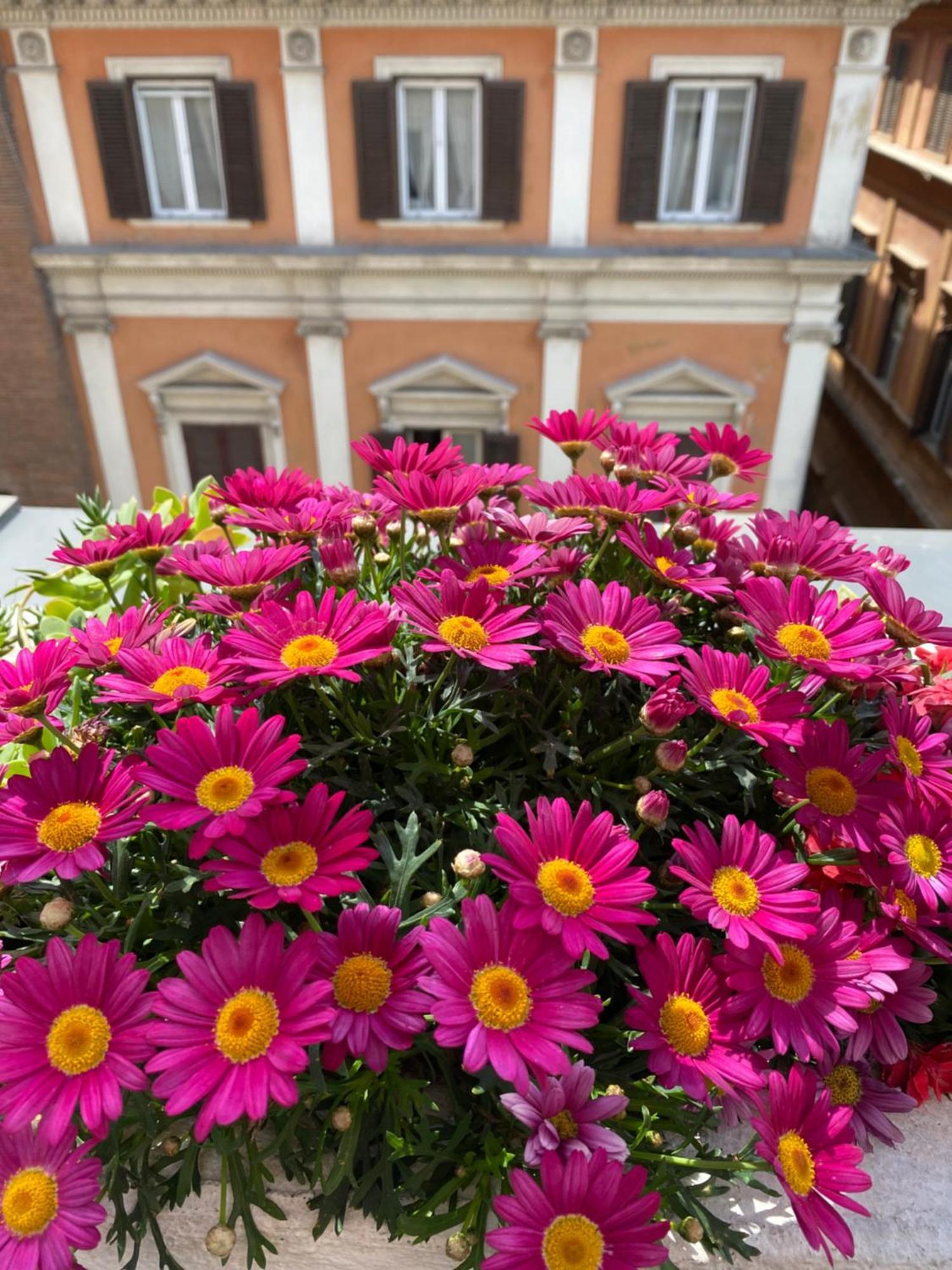 Terrazza Marco Antonio Luxury Suite Rome Luaran gambar